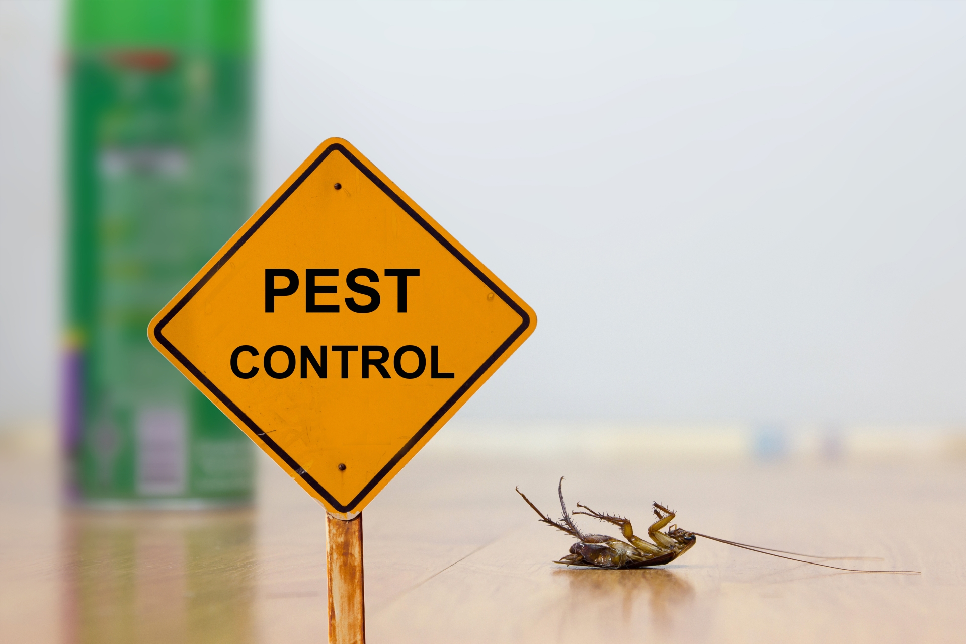 24 Hour Pest Control, Pest Control in Dagenham, RM8, RM9, RM10. Call Now 020 8166 9746